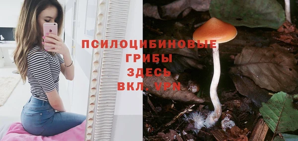spice Балахна